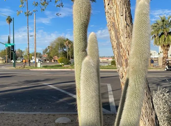 Susies Suites - Mesa Home