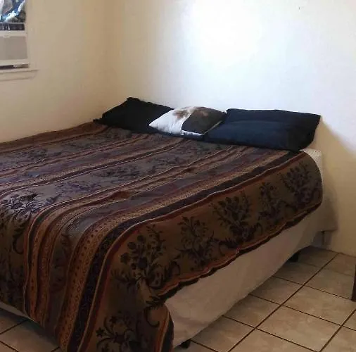 Susies Suites- Vine