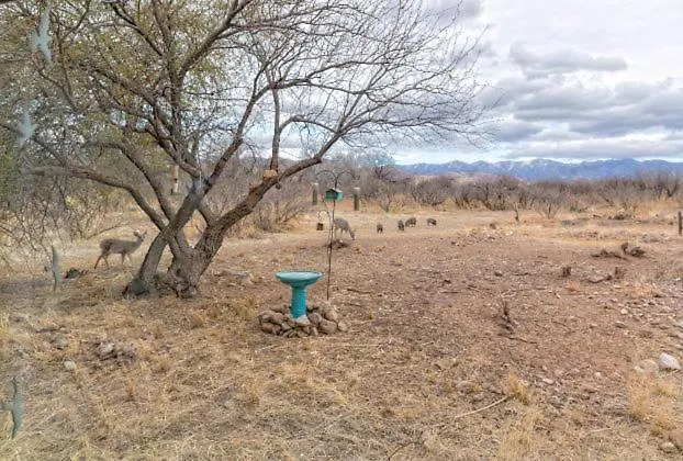 Dreamcatcher Inn At Chiricahua