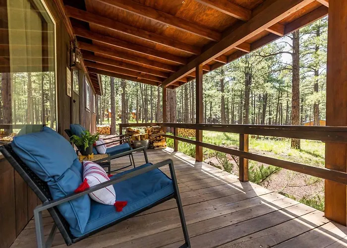 Winter Snow! Book Now! Rogue Bear Cabin