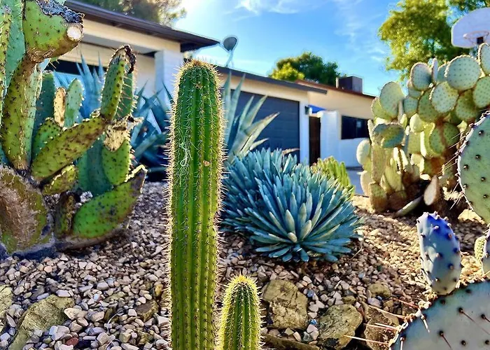 Desert Oasis- *Pool And Hot Tub*
