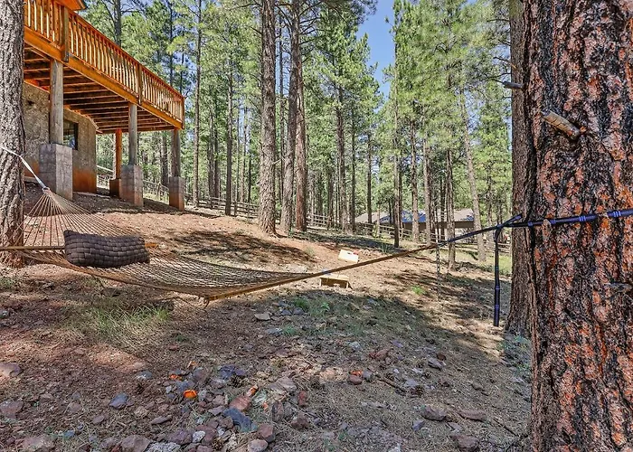 Lovely & Rustic Treehouse Cabin - Stargazing In The Pines!