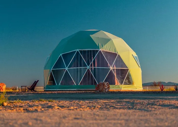 The Beer Dome