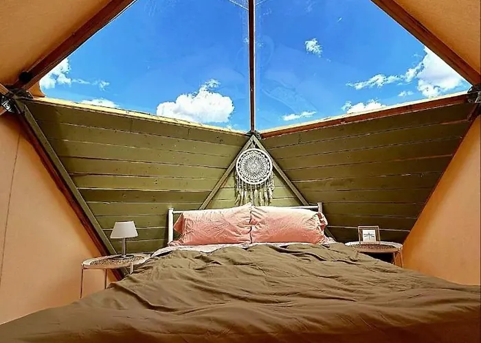 Raptor Ranch Glamping