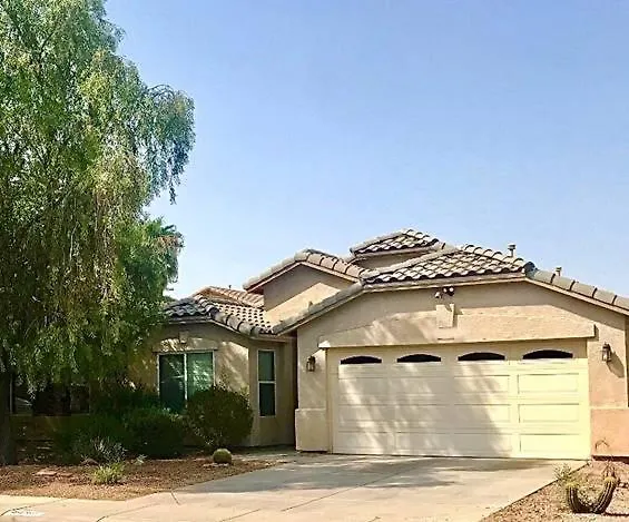 Palmen Maricopa