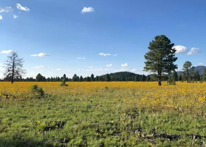 Williams Cabin-2 Acres-Polar Express-Fire Pit