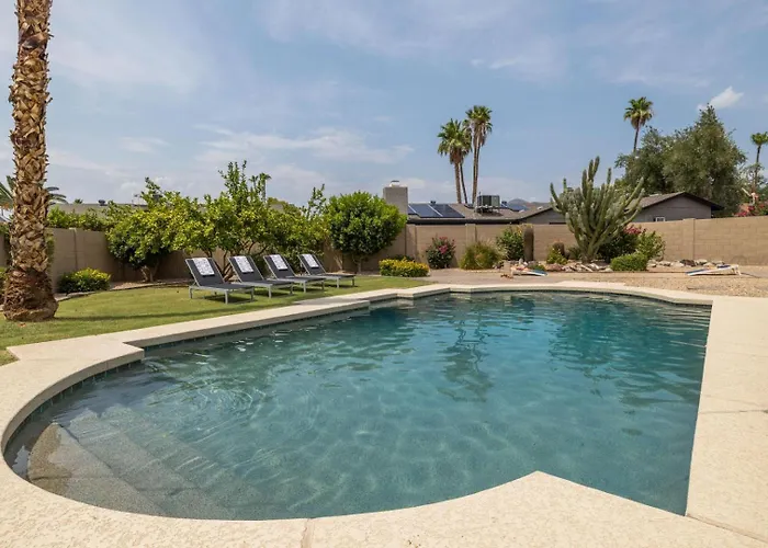 Scottsdale Sahuaro