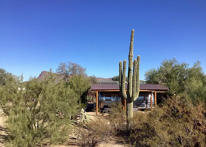 Vintage Airstream Lola Saguaro National Park