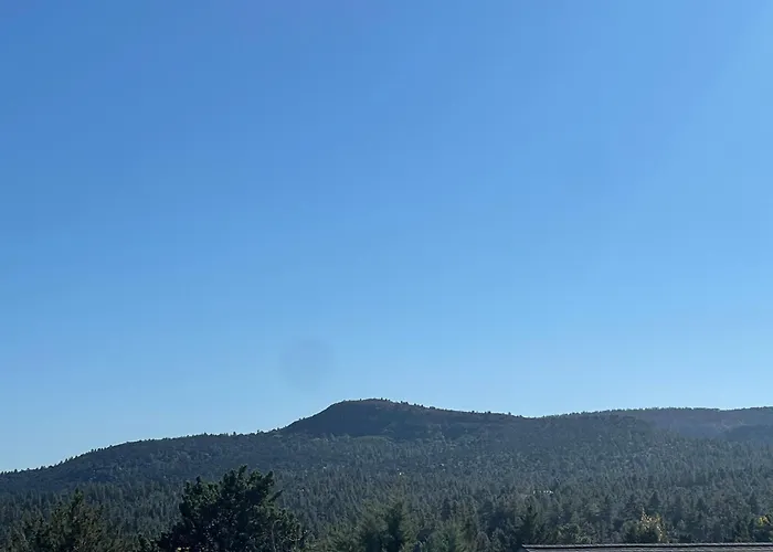 Elk Rim 1156 Pine