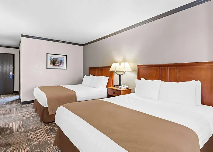 Best Western Apache Junction Inn