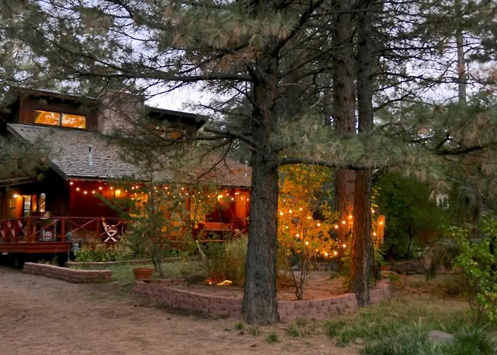 Artist Chalet