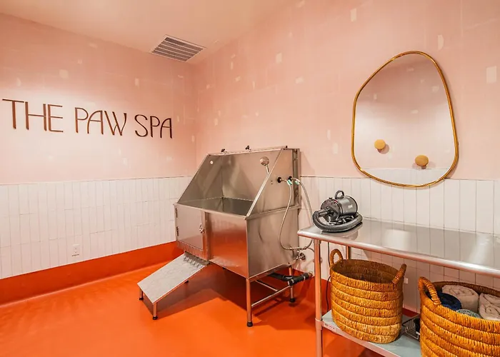 Prime Asu Area Balcony Pool Gym W&D Parking Phx