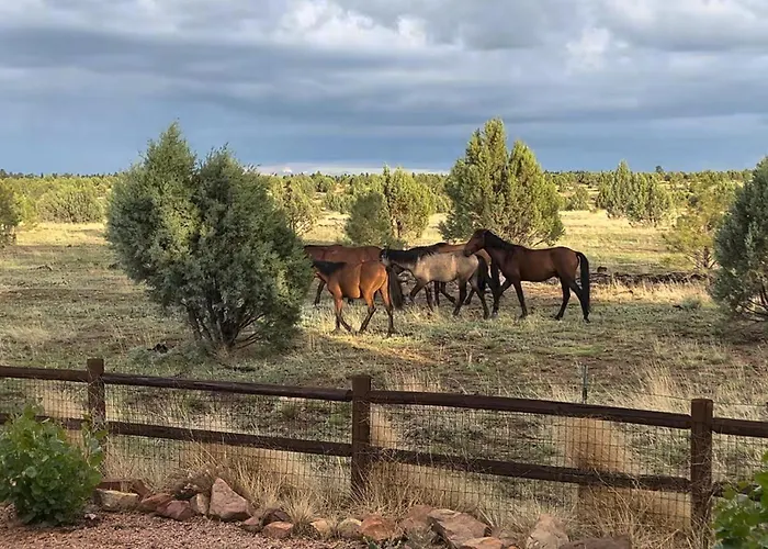 Cabin With Wild Horses, Fireplace, Dog Friendly & Starlink