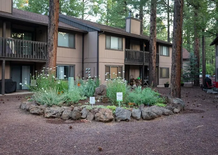 Sports Village, 1 Bedroom 1 Ba, Studio, Kitchenette