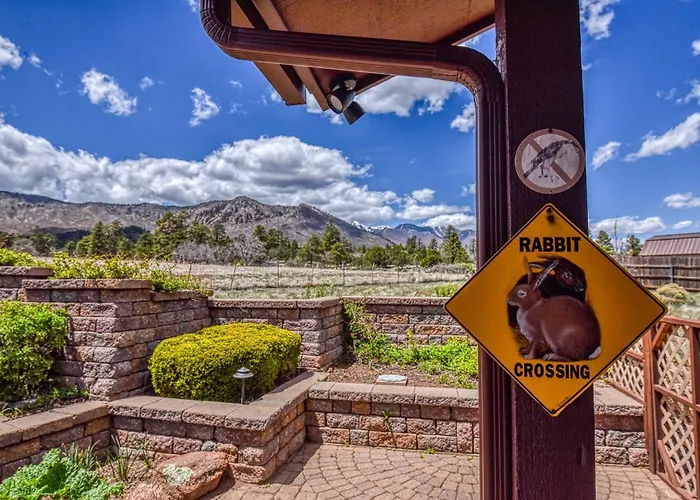 Bunnyland Lodge Panoramic Mt. Views Fantastic Backyard Patio Scenic Location In Flagstaff