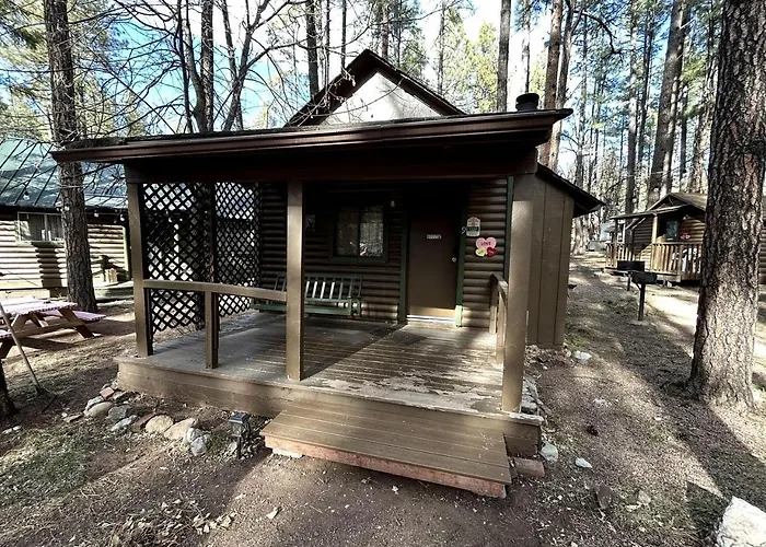 Pet Friendly Studio Cabin With Kitchenette And Bbq, Perfect For A Weekend In The Forest Of Christopher Creek