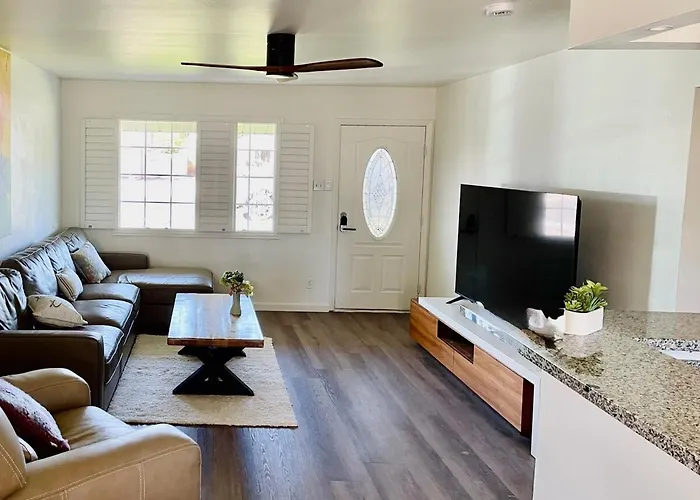 Mid Centry Modern & Pool