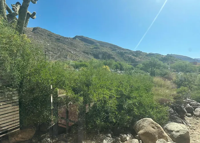 Our Mountain View