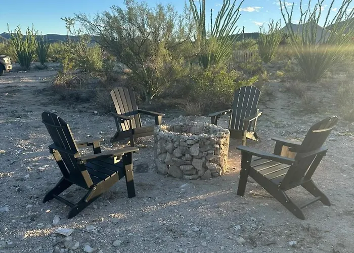 Saguaroglamp