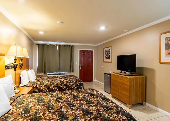 Wildcat Inn University